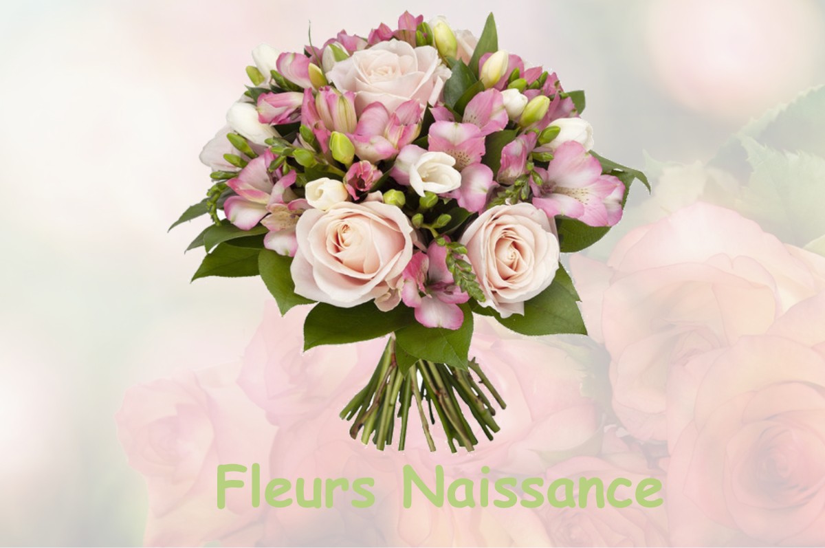 fleurs naissance BERNIERES-SUR-SEINE